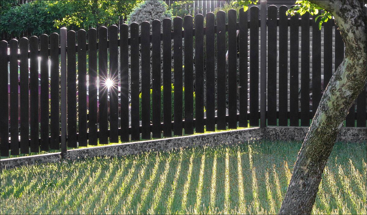 Slunce v plotě