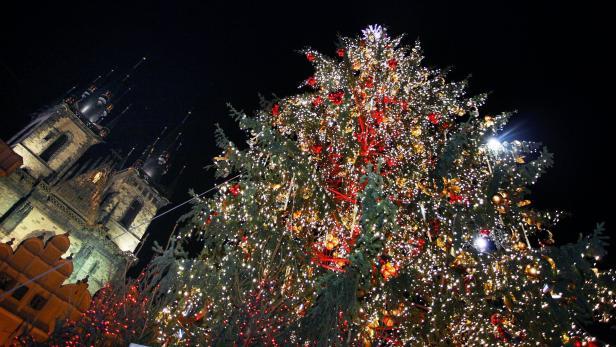 Staroměstské náměstí v Praze ozdobí
„nepotřebný“ vánoční smrk z Ratají