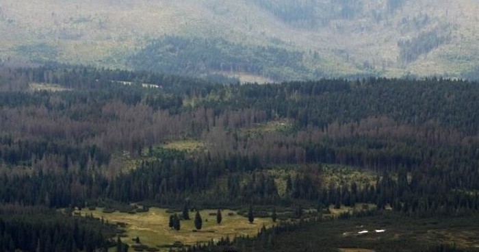 Šumavský národní park se více
otevře handicapovaným lidem