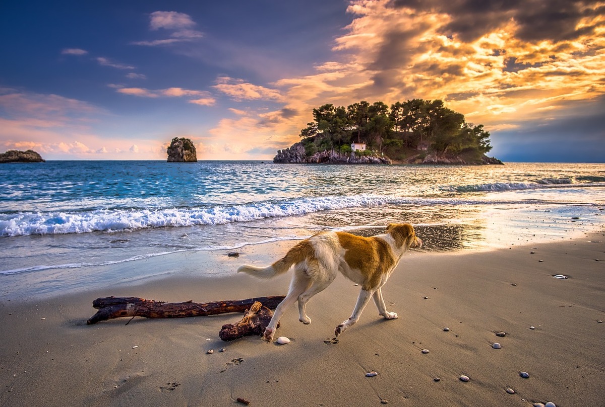 Děti, psi a kočky jsou božstvo. Čím vás ještě překvapí Řecko?