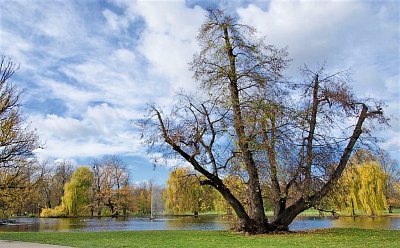Na rozloučenou se zlatým podzimem