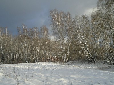 Zimní krajina konečně pod sněhem