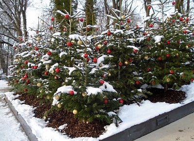 Vánoční výzdoba stále drží.*