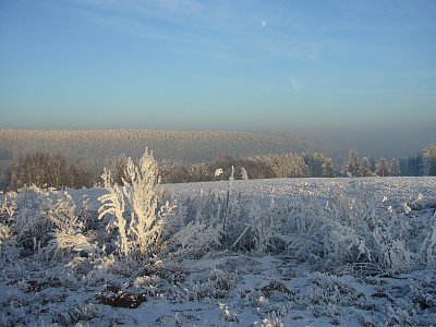 Ještě se mne nezbavíte! Vaše zima.