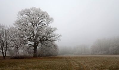 V každé roční době ...