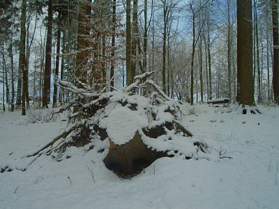 Konečná...