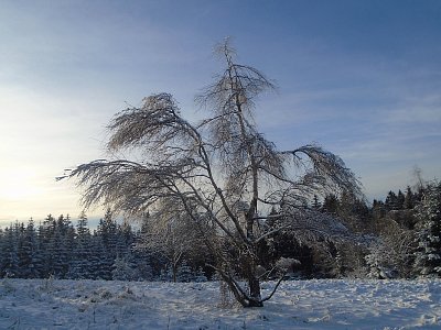 Krása zimy v Bedřichov*