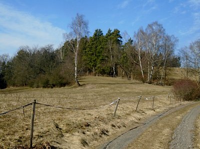 Předjaří všude kolem.