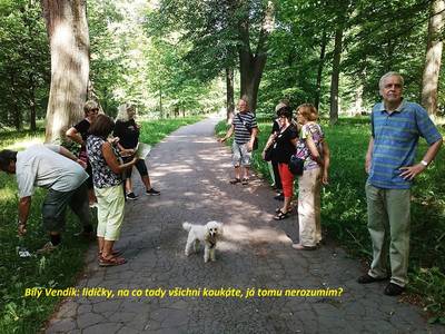 01. Psík Venda: lidičky, na co tady všichni koukáte, já tomu nerozumím?!