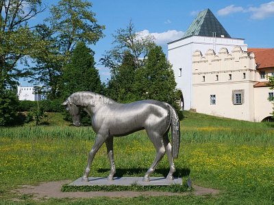 01-kun-michal-gabriel-.jpg