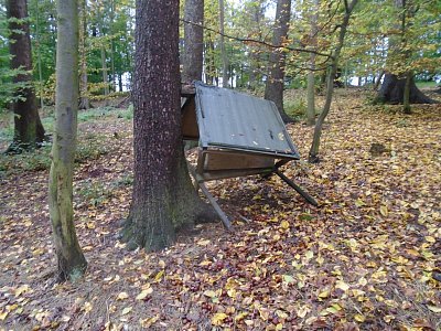 Vydrž, dobří lidé pomohou.