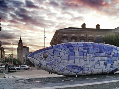 Jsem již také na suchu!