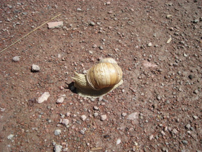 Za chvilku tam budu.