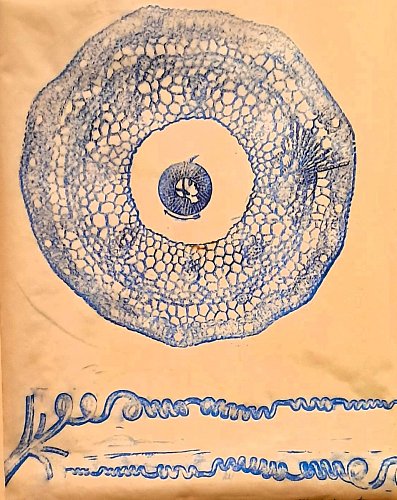 011-max-ernst-frotaz-1968-20250406-171429.jpg
