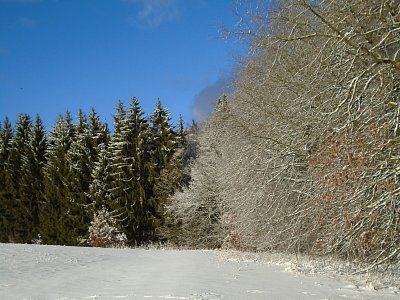 Pláně nad lesem se dočkaly sněhové peřiny