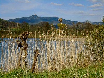 Rybník Žabák v Chrastné nikdy nezklame.