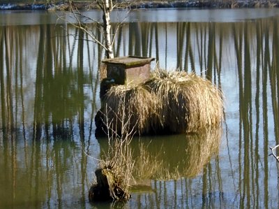 Hausbót pro kačenky.*