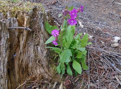 Kontrasty. Jeden život končí, druhý začíná.