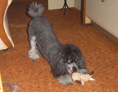 Nelinka - Hračku nedám!