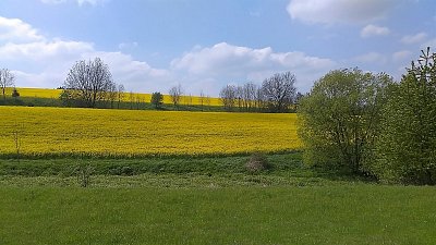 Mezi Přibyslaví a Olešenkou