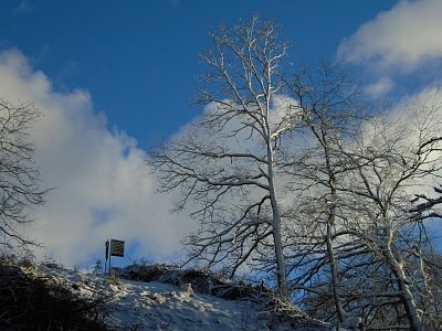 Tady řádil kůrovec