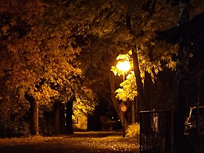 Foto ze startu