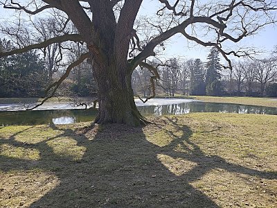 Mohl bych vyprávět ...