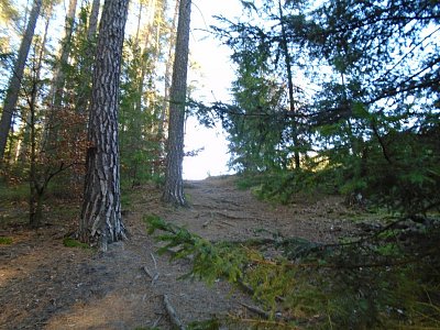 036-12.jpg
