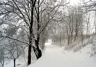 05-cestou na louku.