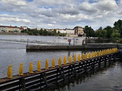 05-tucnaci-smer-narodni-divadlo.jpg