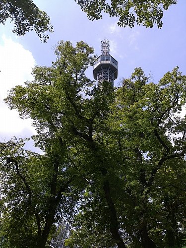 Rozhledna si hraje na schovávanou