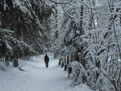 Osamělá.