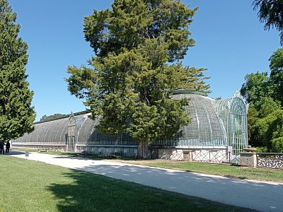06-257.jpg