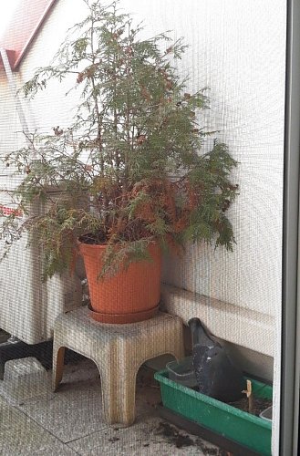 06-sedi-na-vejcich-1.jpg