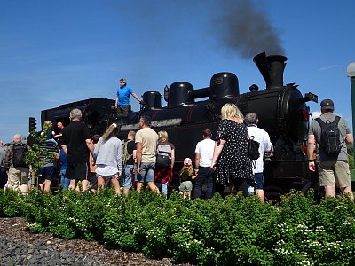 06 Všudybylka v obležení.jpg