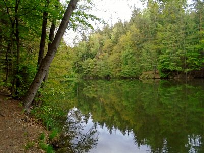 Vratislavický rybník.