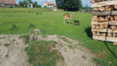 Foto ze startu