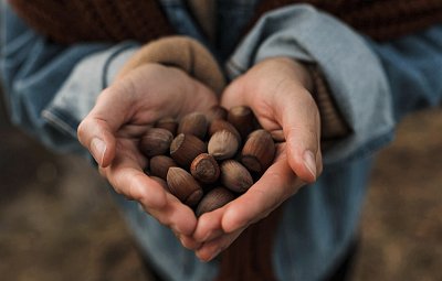 Zázrak jménem lískové ořechy aneb jaký je jejich vliv na zdraví