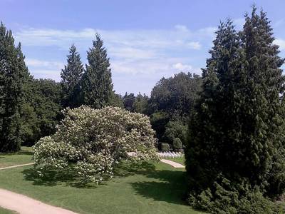 Pohled z oken zámku do parku