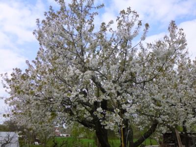 ještě jsem nezmrzla