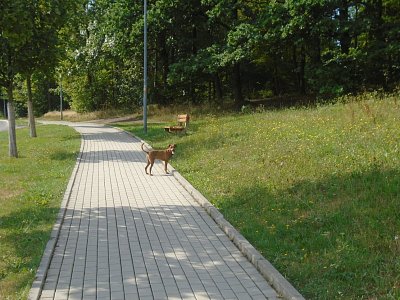 Bábinko, za chvilku si odpočineš.