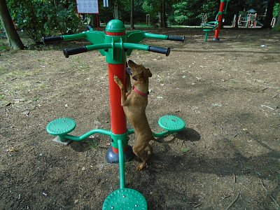 Cviky na páteř trochu jinak.