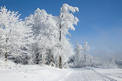 09 - pro běžkaře /foto bylo na karuselu/