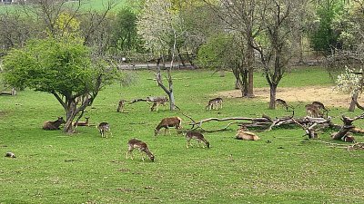 Život pod "Kuňkou"