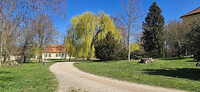 Kolem cesty