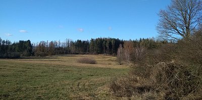 Je umrzlo,tak se vydám se po louce.Je zrytá divočáky.