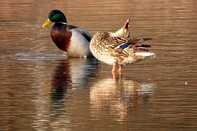 Proč si mě nevšímá?