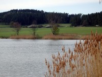 Nově vyčištěný rybník u Volenic