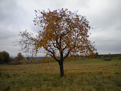 Foto ze startu