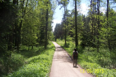 Jarní procházka lesem